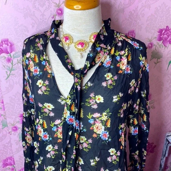 🌹 Zara Woman 🌹 Sheer Floral Long Sleeve Ruffle Dress - Picture 2 of 15